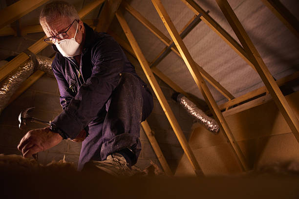 Best Insulation Maintenance and Repair in Rockingham, NC